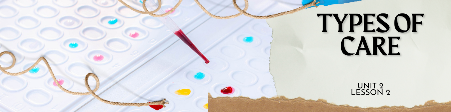 Lesson 2: Types of Care Banner